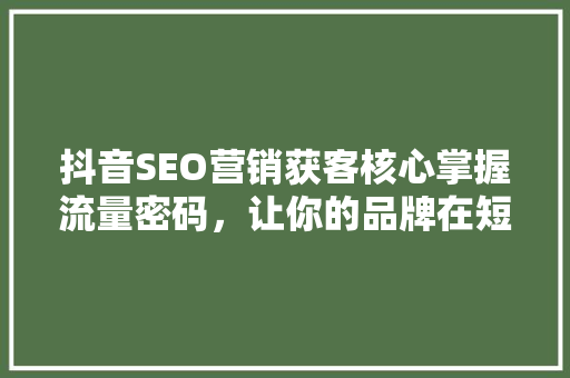 抖音SEO营销获客核心掌握流量密码，让你的品牌在短视频时代脱颖而出  第1张