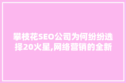 攀枝花SEO公司为何纷纷选择20火星,网络营销的全新趋势