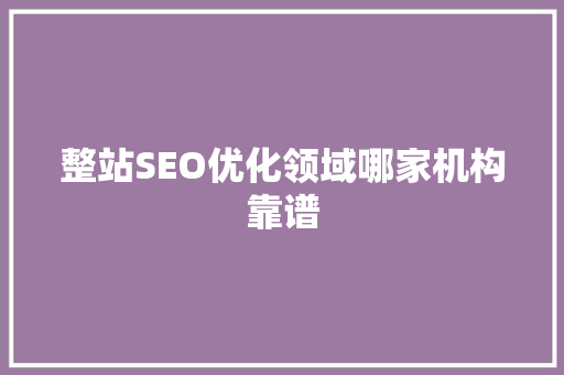 整站SEO优化领域哪家机构靠谱