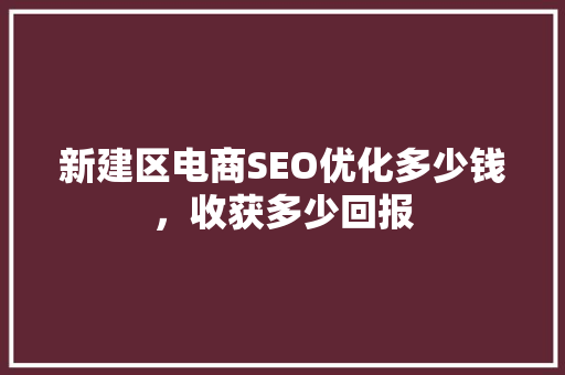 新建区电商SEO优化多少钱，收获多少回报