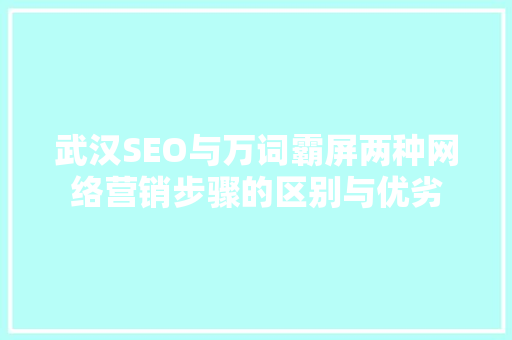 武汉SEO与万词霸屏两种网络营销步骤的区别与优劣