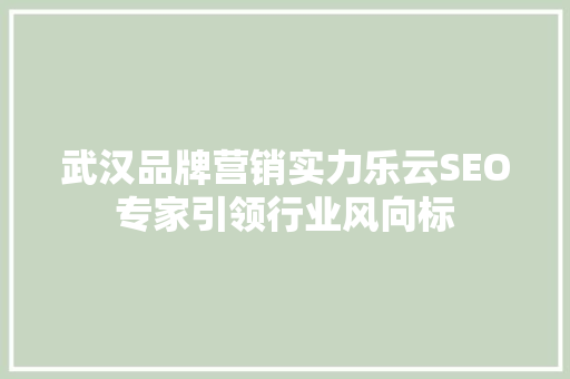 武汉品牌营销实力乐云SEO专家引领行业风向标