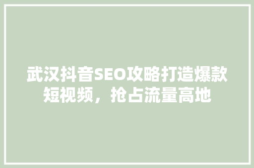 武汉抖音SEO攻略打造爆款短视频，抢占流量高地
