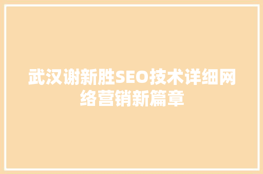 武汉谢新胜SEO技术详细网络营销新篇章