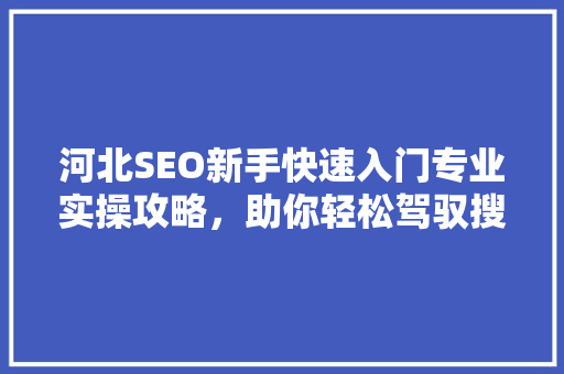 河北SEO新手快速入门专业实操攻略，助你轻松驾驭搜索引擎优化