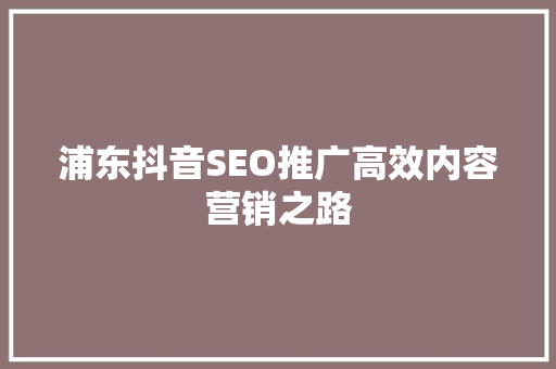 浦东抖音SEO推广高效内容营销之路