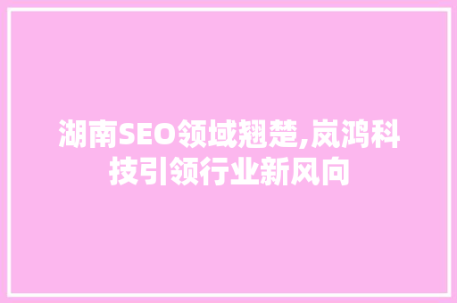 湖南SEO领域翘楚,岚鸿科技引领行业新风向