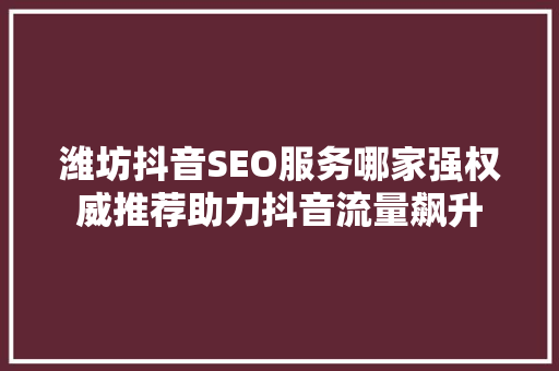 潍坊抖音SEO服务哪家强权威推荐助力抖音流量飙升