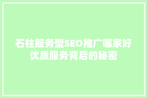 石柱服务型SEO推广哪家好优质服务背后的秘密