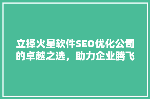 立择火星软件SEO优化公司的卓越之选，助力企业腾飞