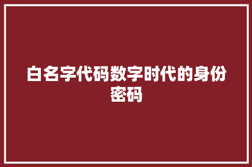 白名字代码数字时代的身份密码