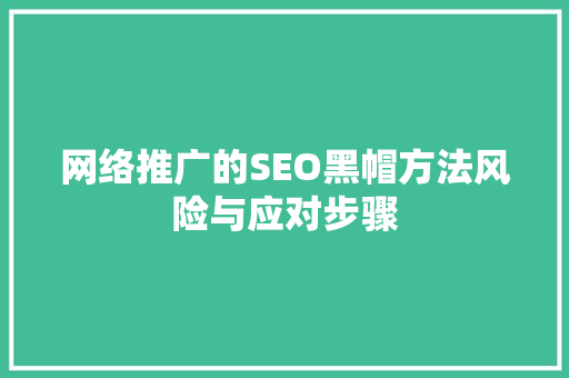 网络推广的SEO黑帽方法风险与应对步骤