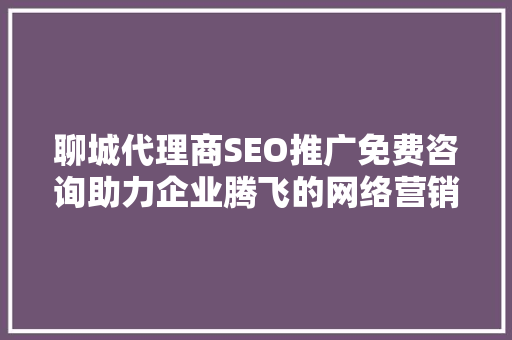 聊城代理商SEO推广免费咨询助力企业腾飞的网络营销之路