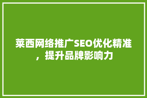 莱西网络推广SEO优化精准，提升品牌影响力