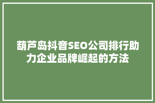 葫芦岛抖音SEO公司排行助力企业品牌崛起的方法
