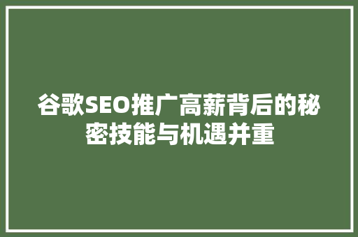 谷歌SEO推广高薪背后的秘密技能与机遇并重