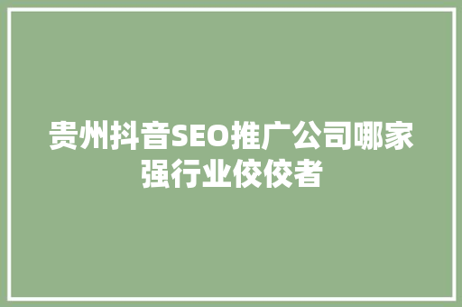 贵州抖音SEO推广公司哪家强行业佼佼者