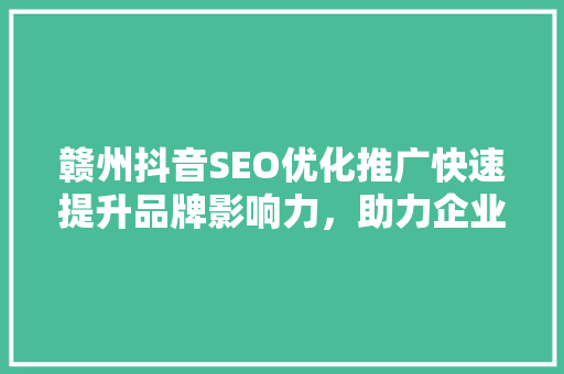 赣州抖音SEO优化推广快速提升品牌影响力，助力企业腾飞