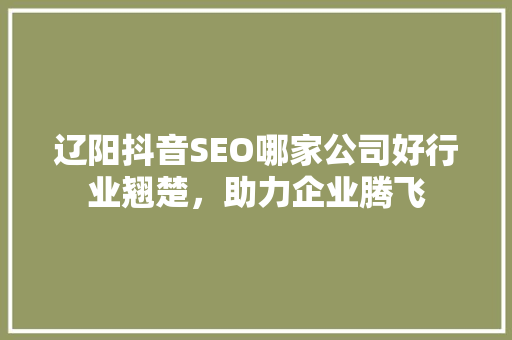 辽阳抖音SEO哪家公司好行业翘楚，助力企业腾飞