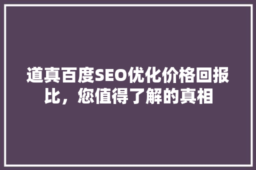 道真百度SEO优化价格回报比，您值得了解的真相