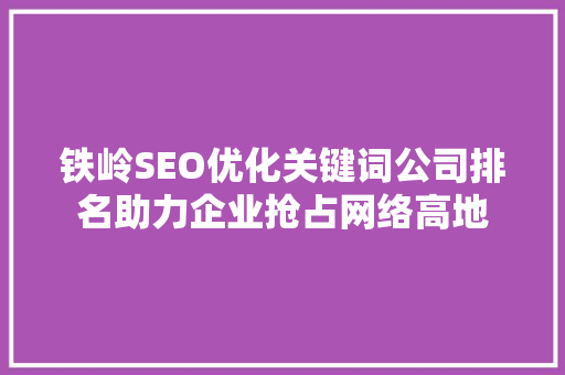 铁岭SEO优化关键词公司排名助力企业抢占网络高地