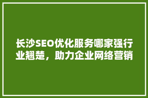 长沙SEO优化服务哪家强行业翘楚，助力企业网络营销腾飞