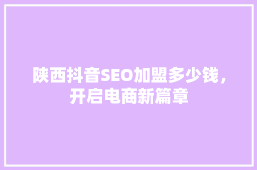 陕西抖音SEO加盟多少钱，开启电商新篇章