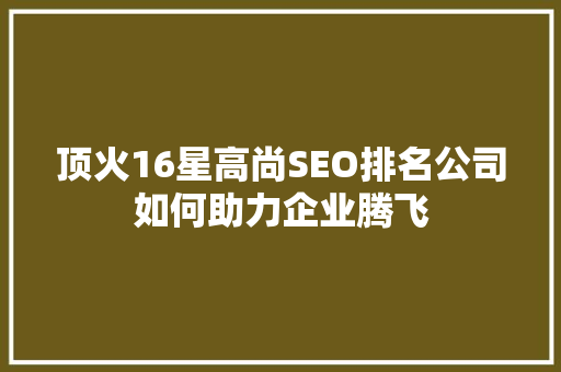 顶火16星高尚SEO排名公司如何助力企业腾飞