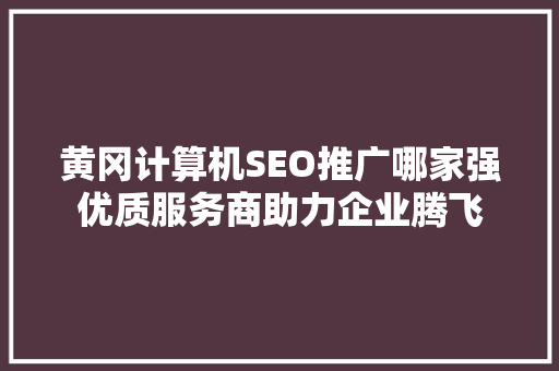 黄冈计算机SEO推广哪家强优质服务商助力企业腾飞