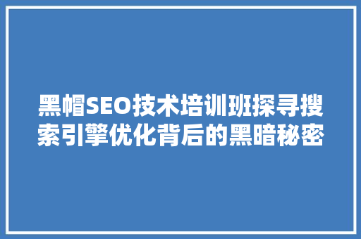 黑帽SEO技术培训班探寻搜索引擎优化背后的黑暗秘密