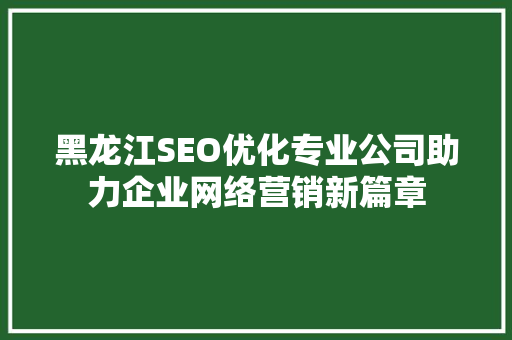 黑龙江SEO优化专业公司助力企业网络营销新篇章