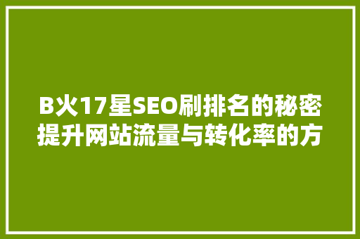 B火17星SEO刷排名的秘密提升网站流量与转化率的方法
