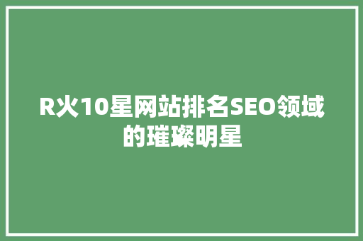R火10星网站排名SEO领域的璀璨明星