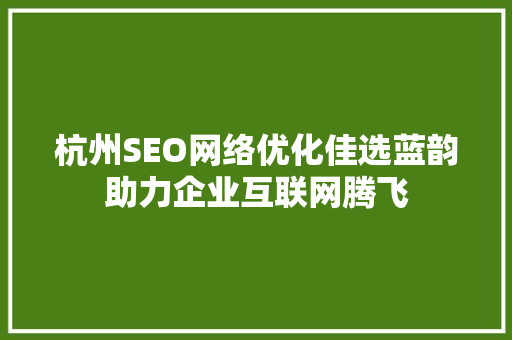 杭州SEO网络优化佳选蓝韵助力企业互联网腾飞