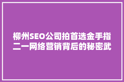 柳州SEO公司拍首选金手指二一网络营销背后的秘密武器