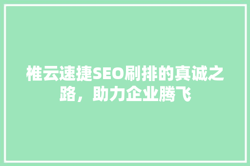 椎云速捷SEO刷排的真诚之路，助力企业腾飞