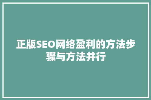 正版SEO网络盈利的方法步骤与方法并行