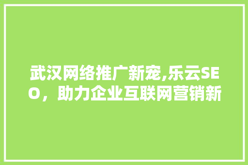 武汉网络推广新宠,乐云SEO，助力企业互联网营销新突破
