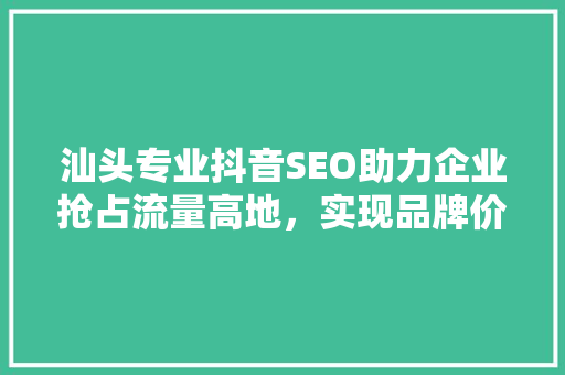 汕头专业抖音SEO助力企业抢占流量高地，实现品牌价值最大化