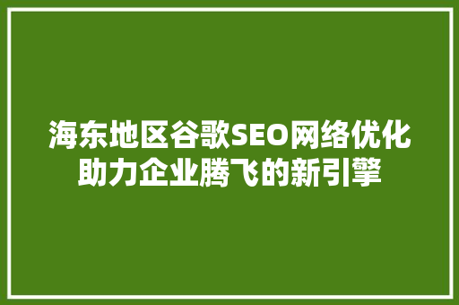 海东地区谷歌SEO网络优化助力企业腾飞的新引擎