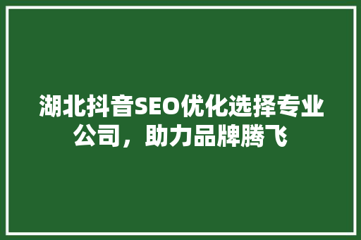 湖北抖音SEO优化选择专业公司，助力品牌腾飞