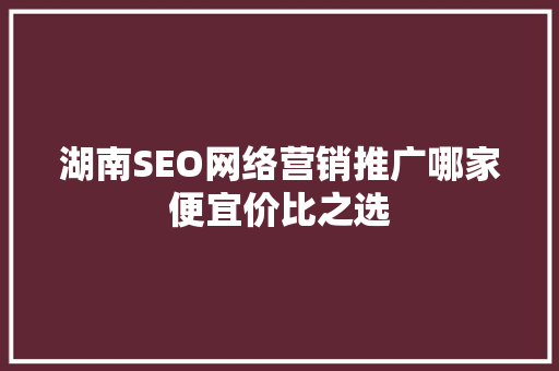湖南SEO网络营销推广哪家便宜价比之选