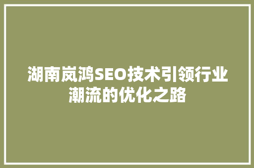 湖南岚鸿SEO技术引领行业潮流的优化之路