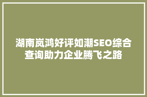 湖南岚鸿好评如潮SEO综合查询助力企业腾飞之路  第1张
