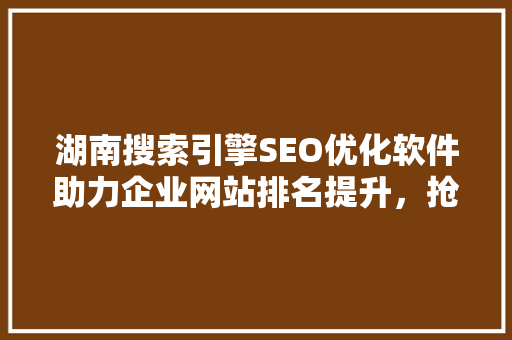 湖南搜索引擎SEO优化软件助力企业网站排名提升，抢占市场先机