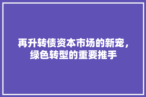 再升转债资本市场的新宠，绿色转型的重要推手