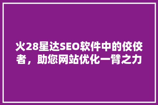 火28星达SEO软件中的佼佼者，助您网站优化一臂之力