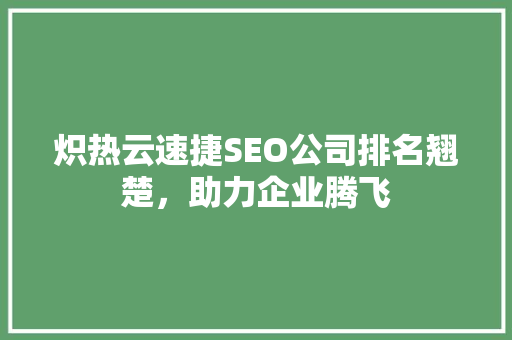 炽热云速捷SEO公司排名翘楚，助力企业腾飞
