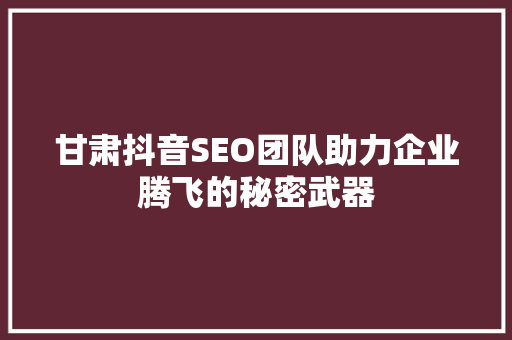 甘肃抖音SEO团队助力企业腾飞的秘密武器