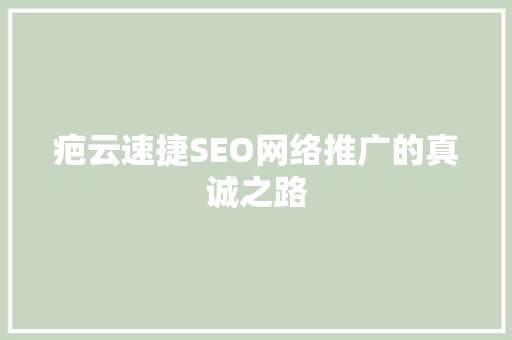 疤云速捷SEO网络推广的真诚之路